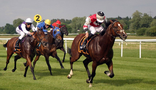 Premium Horse Selections, Unique Laying Strategy - Ideal For Exchange - Only Punters